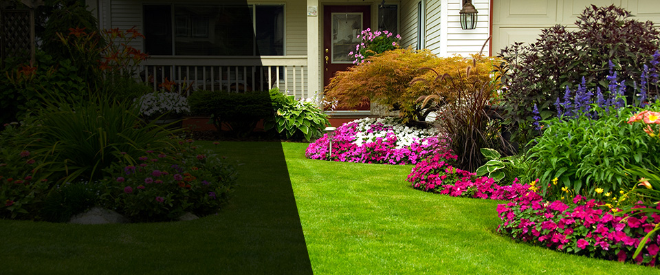 Pinetops Landscapers