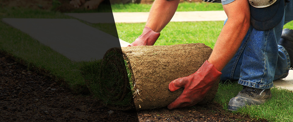 Pinetops Landscapers